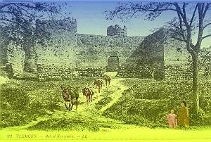 Tlemcen 222- Collection Montaner